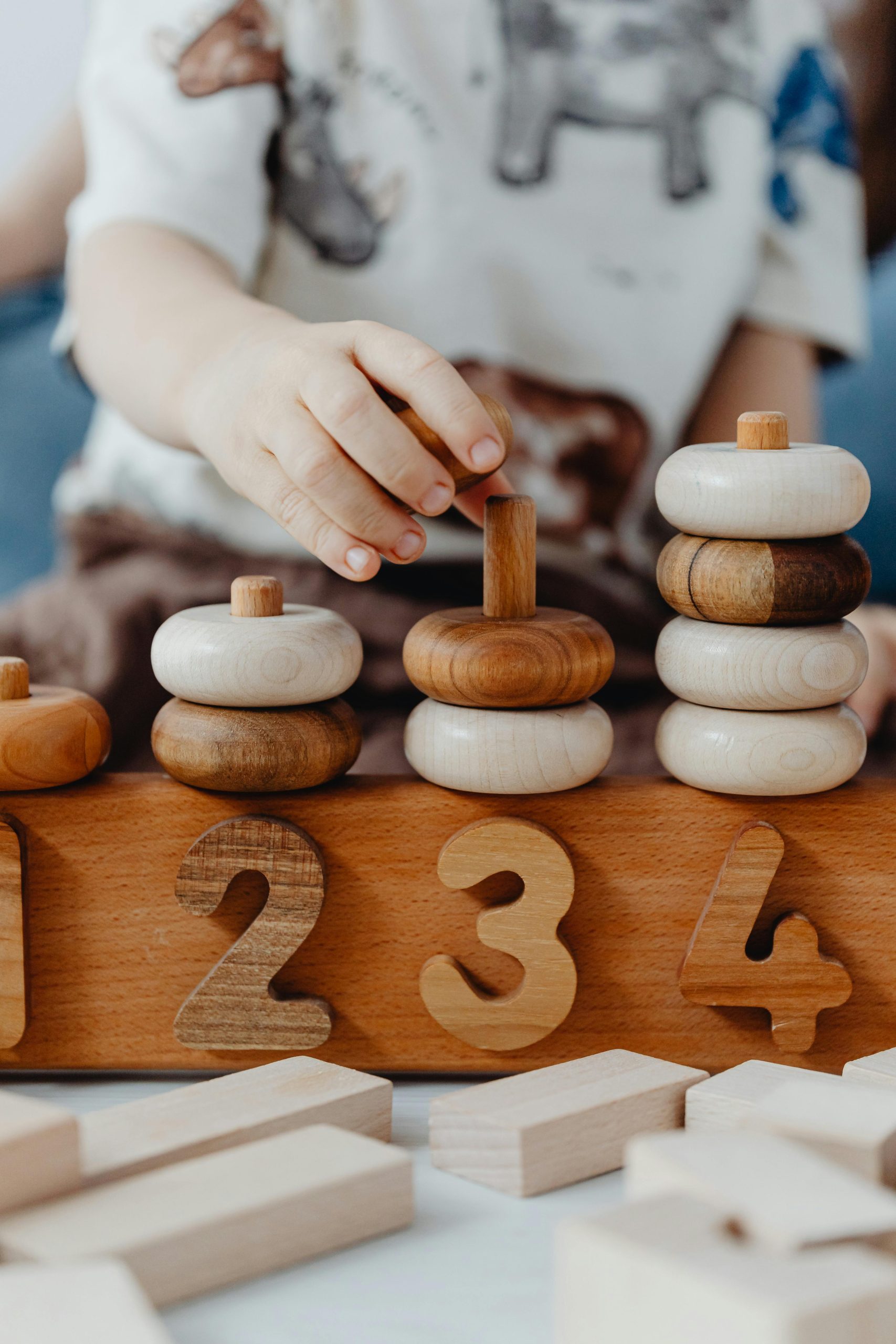 Top Educational Toys for Early Learning Success